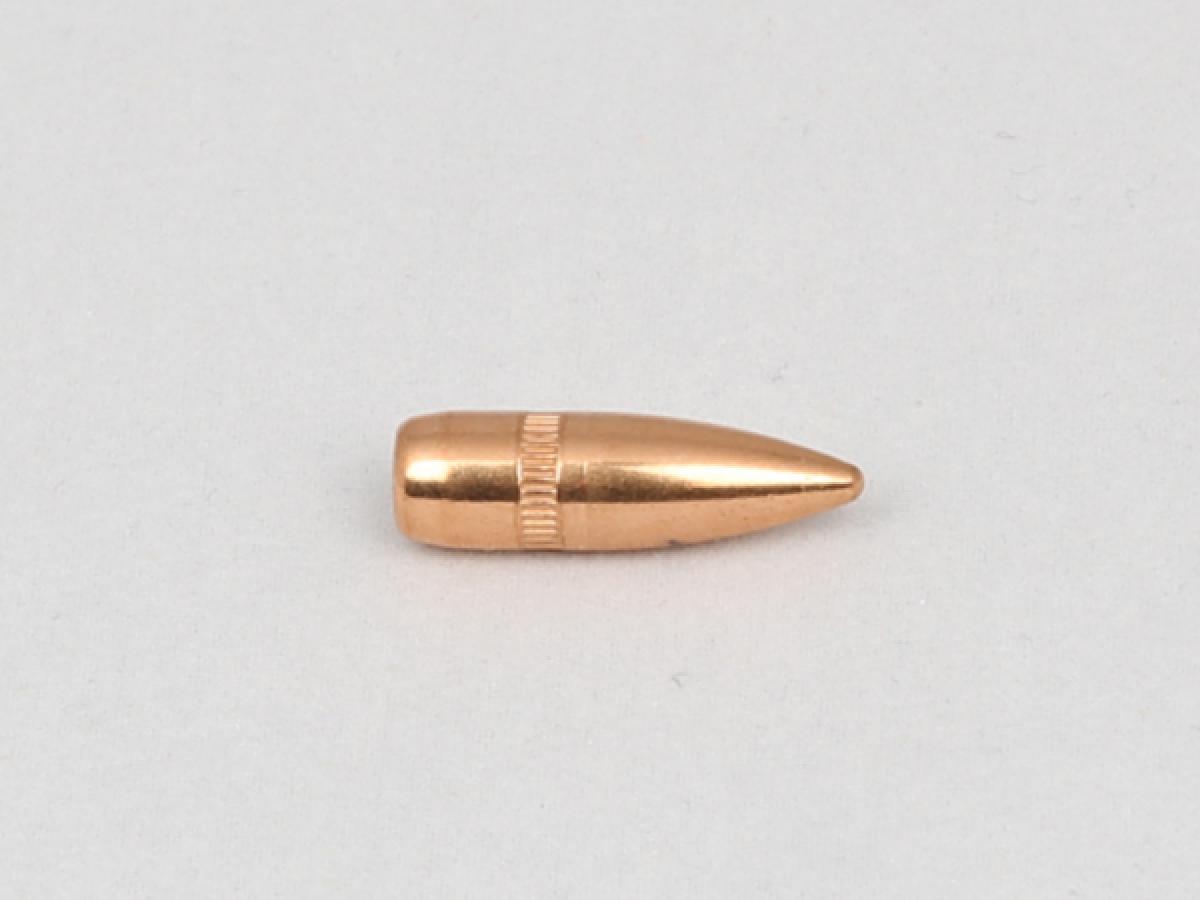 CAM PRO FMJ .22 .224" 55Grain FMJ BT